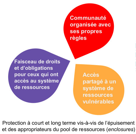 Schéma définitiion Communs - A Lechêne selon E Ostrom